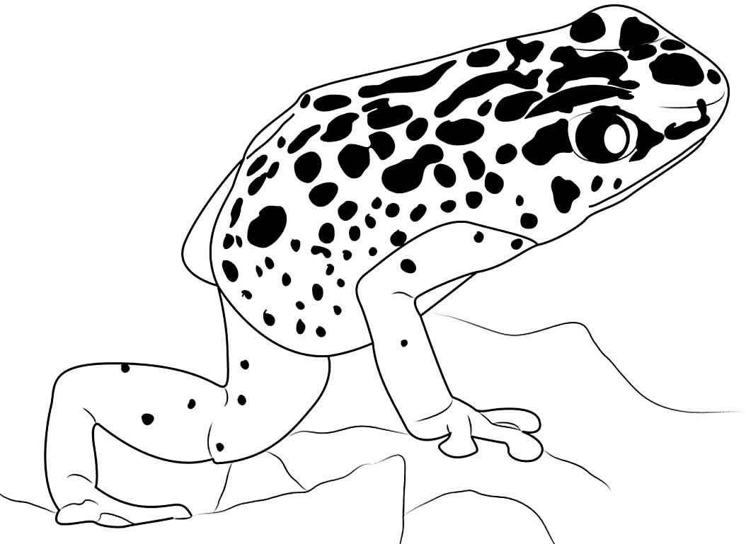 Frösche Ausmalbilder 790