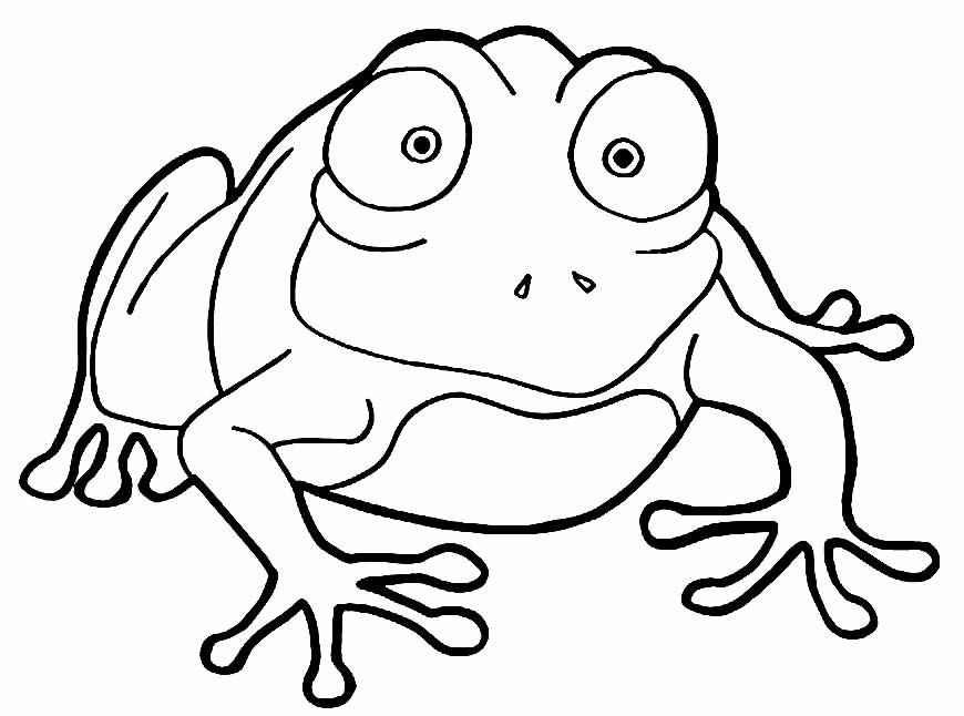 Frösche Ausmalbilder 977