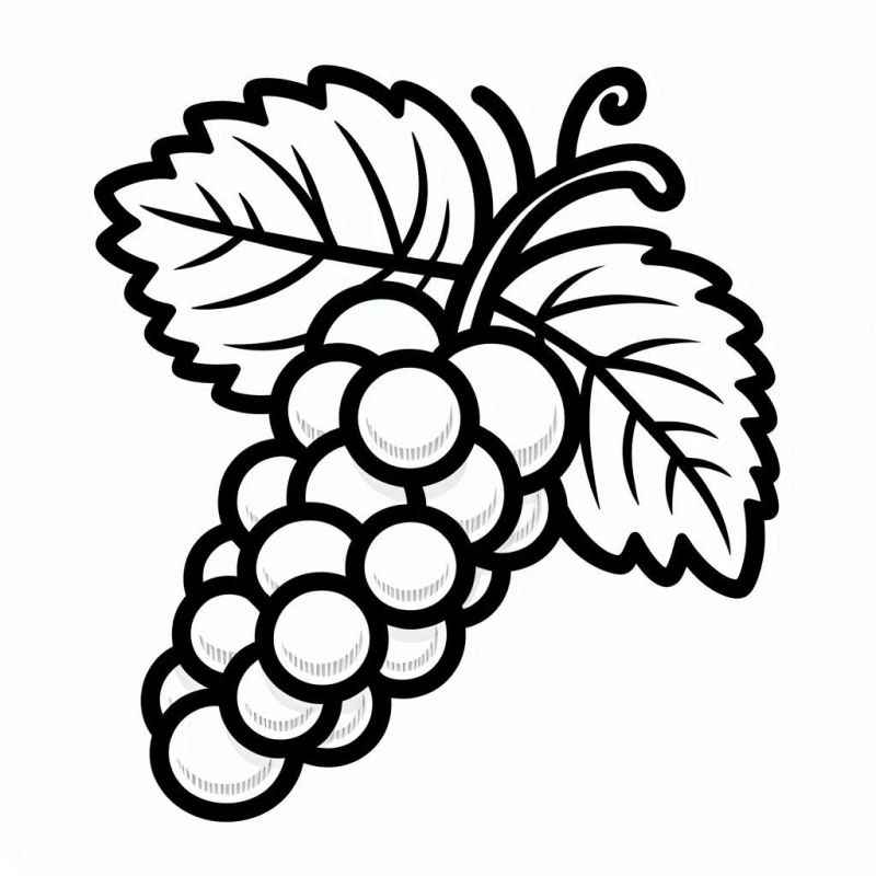 Früchte Ausmalbilder 784