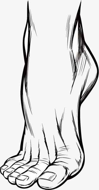Fuß Ausmalbilder 337