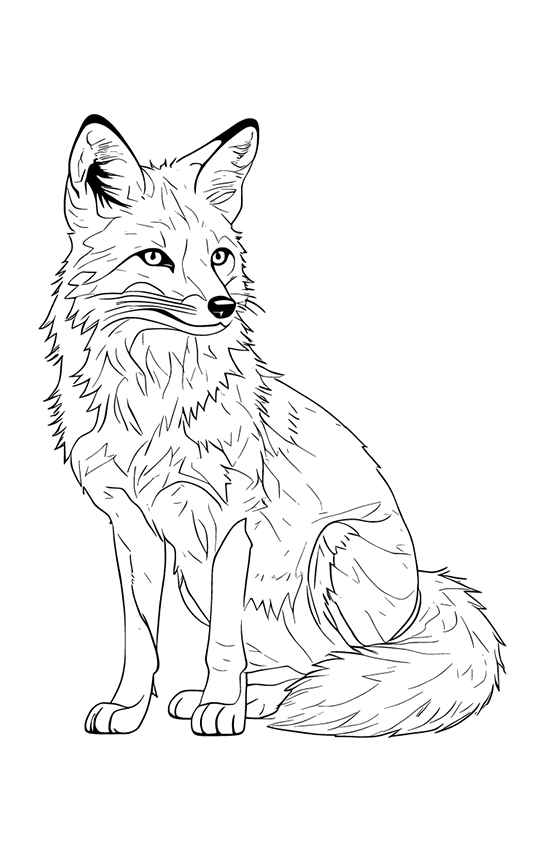 Fuchs Ausmalbilder 372