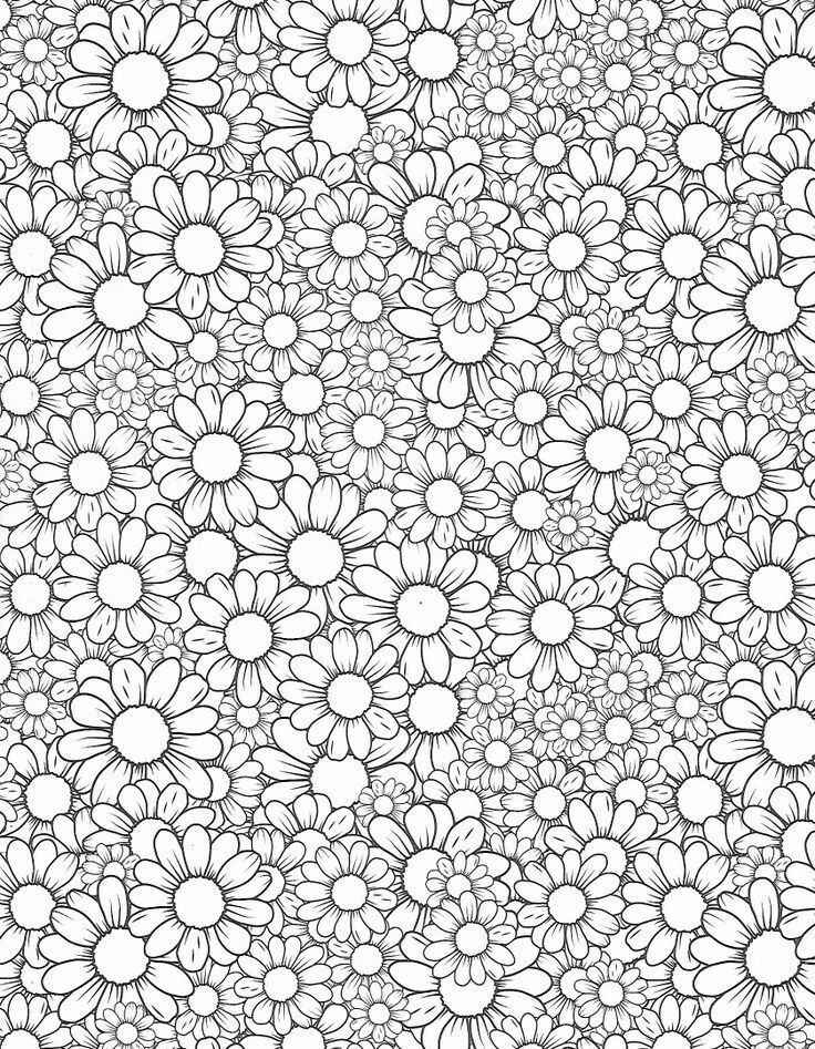 Gänseblümchen Ausmalbilder 754