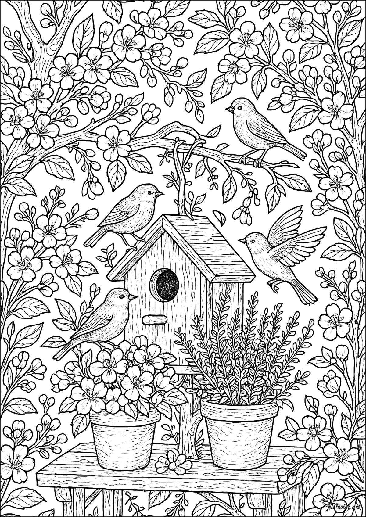 Garten Ausmalbilder 330