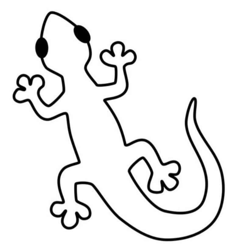Gecko Ausmalbilder 138