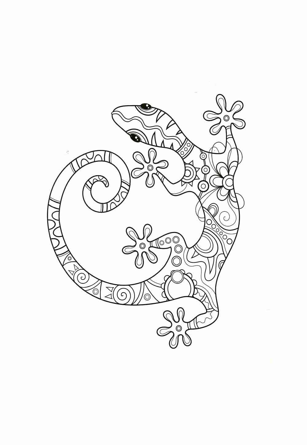 Gecko Ausmalbilder 293