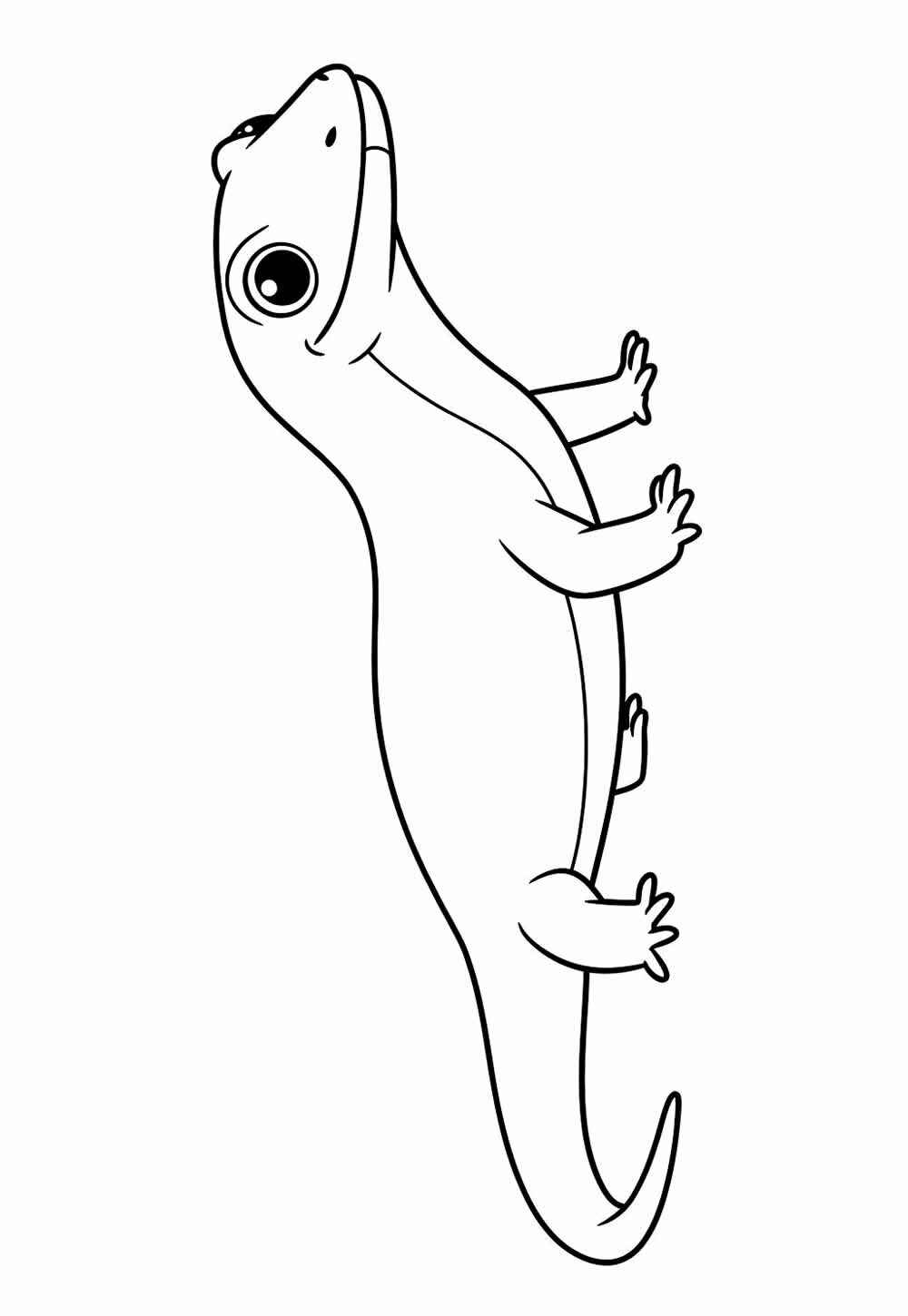 Gecko Ausmalbilder 411