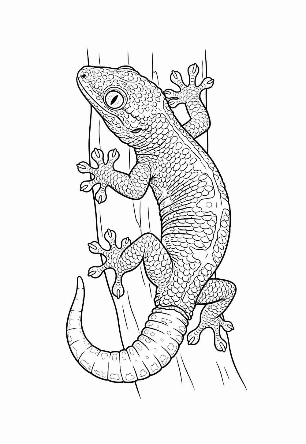 Gecko Ausmalbilder 476