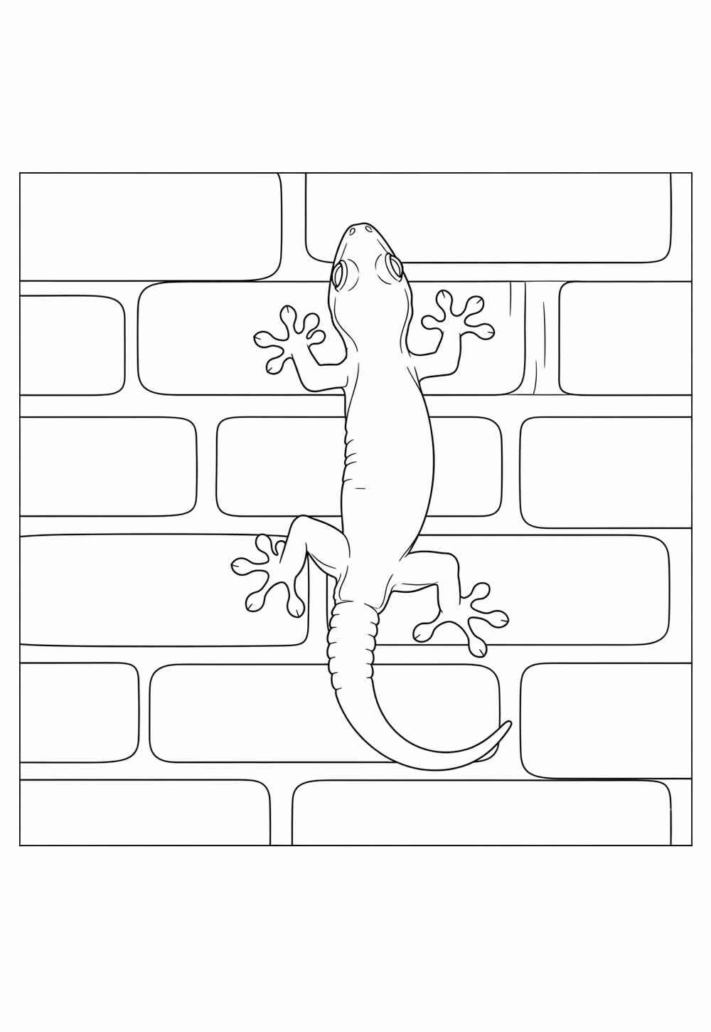 Gecko Ausmalbilder 613