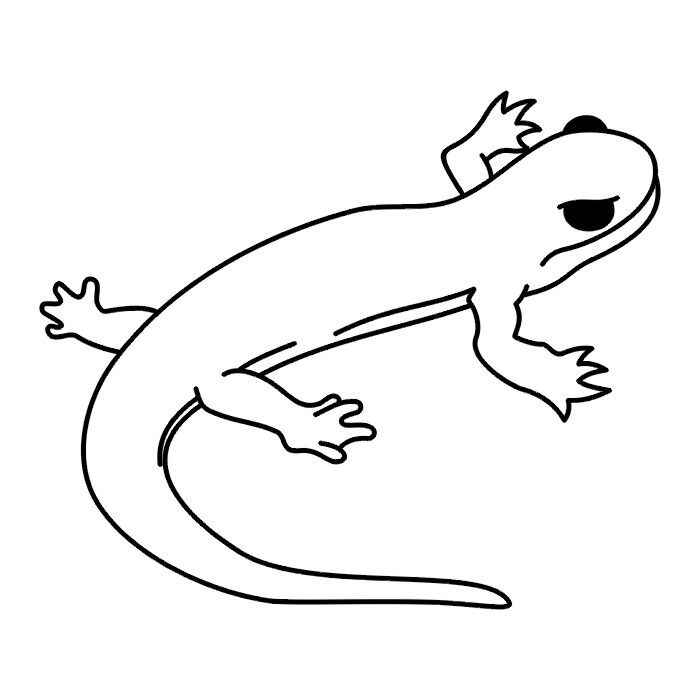 Gecko Ausmalbilder 626