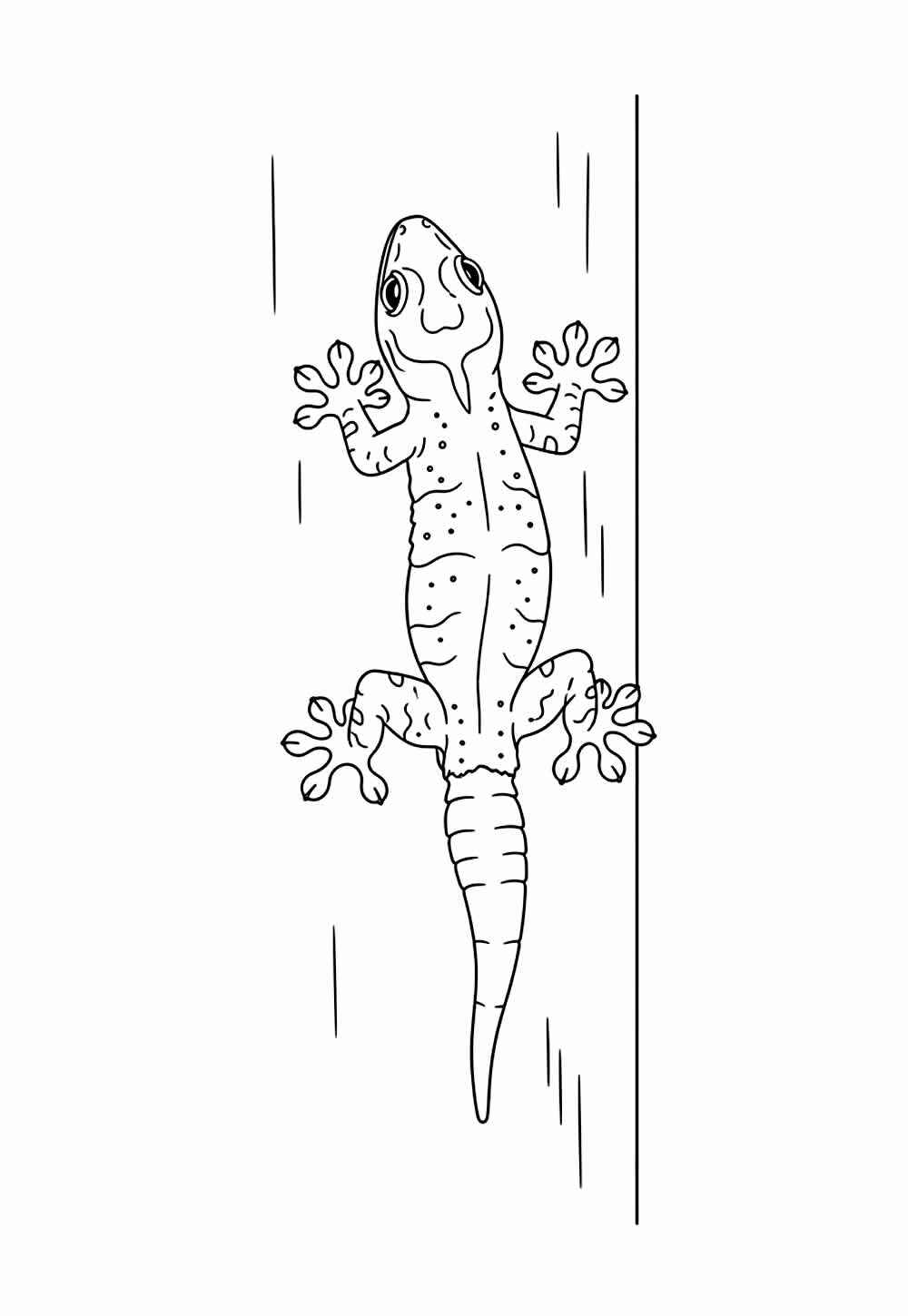 Gecko Ausmalbilder 678