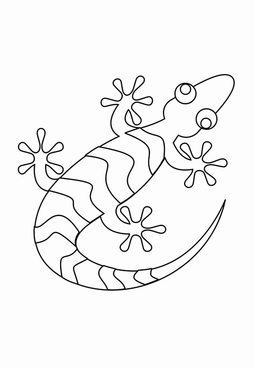 Gecko Ausmalbilder 686