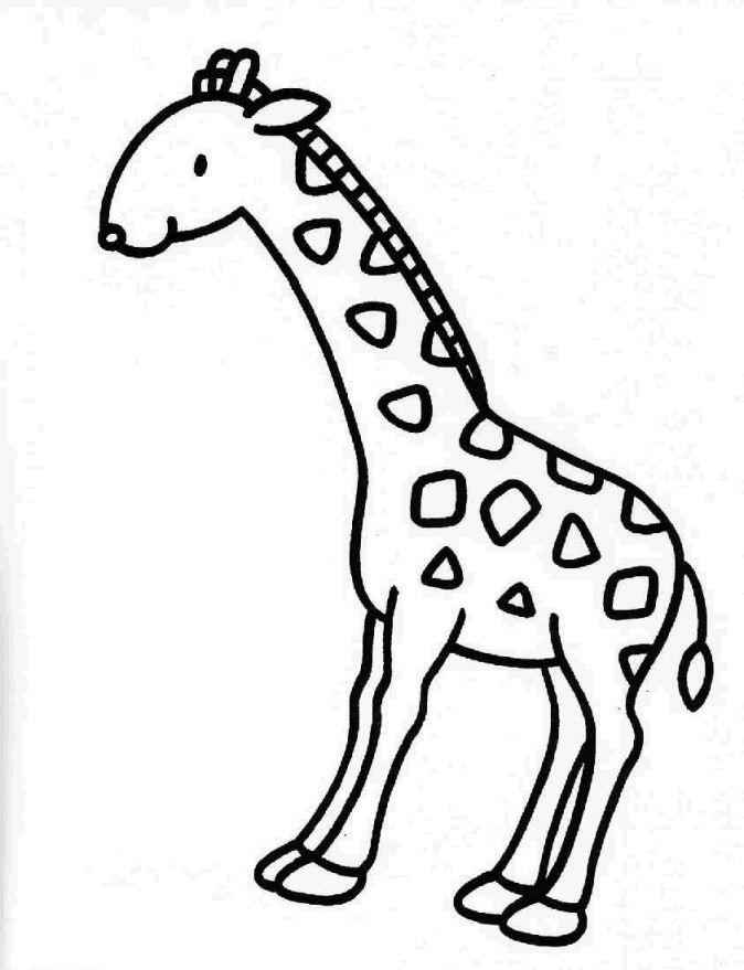 Giraffen Ausmalbilder 016