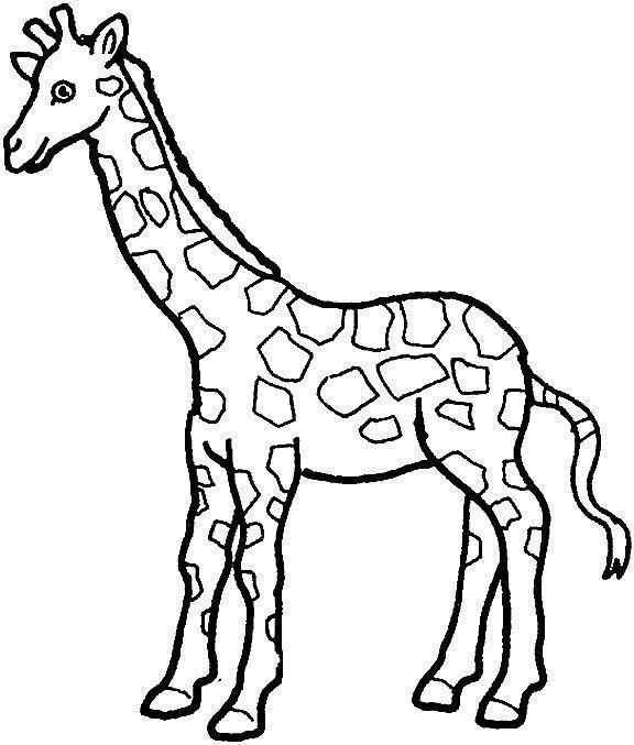 Giraffen Ausmalbilder 055