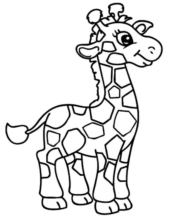 Giraffen Ausmalbilder 656