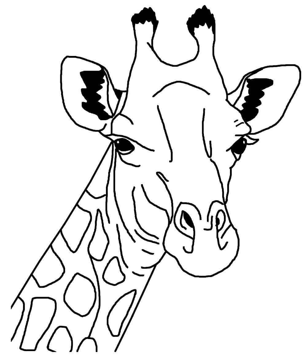 Giraffen Ausmalbilder 994