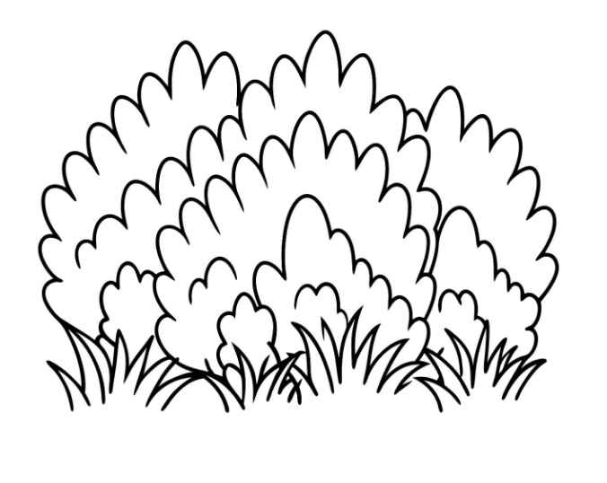 Gras Ausmalbilder 013