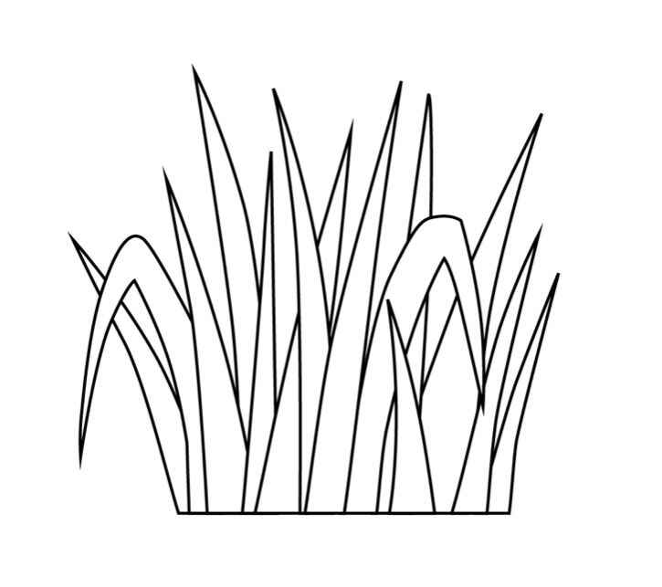 Gras Ausmalbilder 096