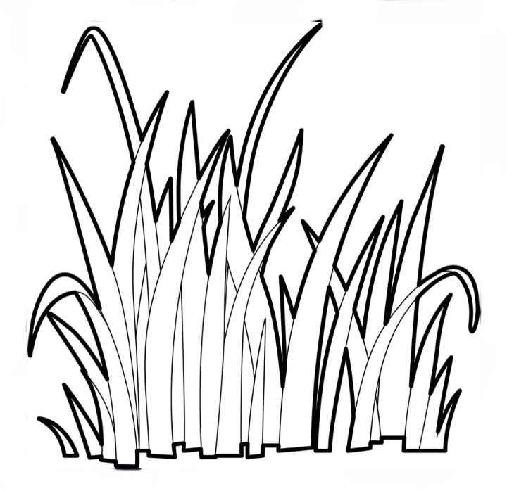 Gras Ausmalbilder 369