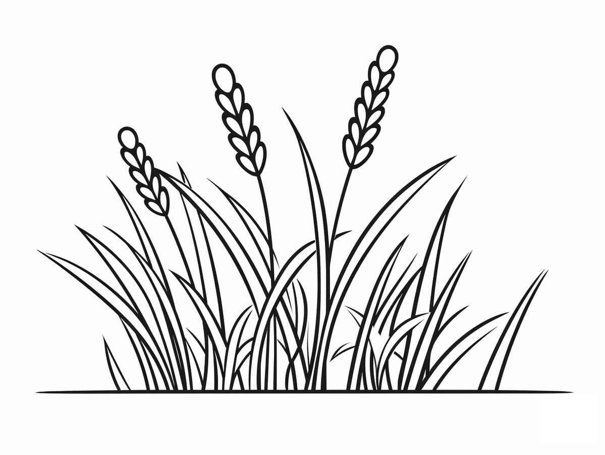 Gras Ausmalbilder 803