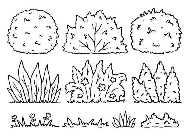 Gras Ausmalbilder 845