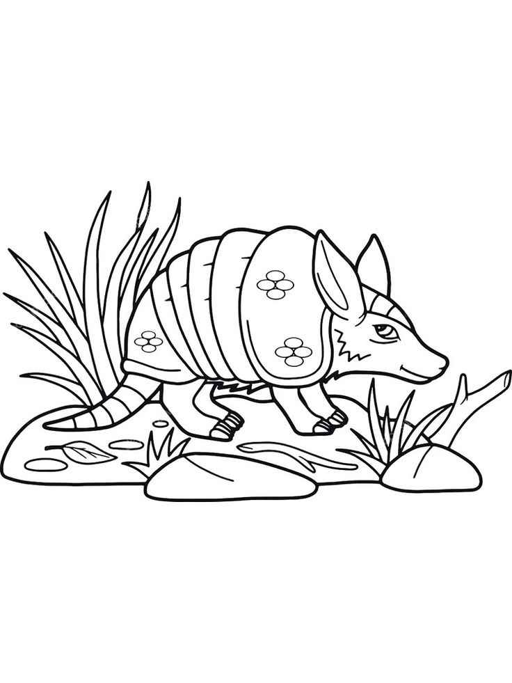 Gürteltier Ausmalbilder 039