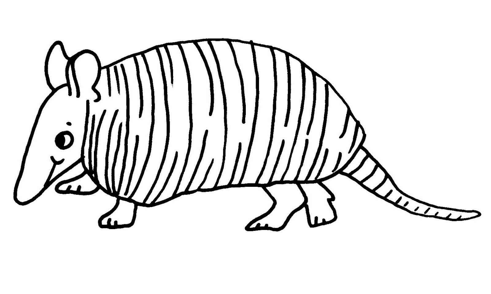 Gürteltier Ausmalbilder 547