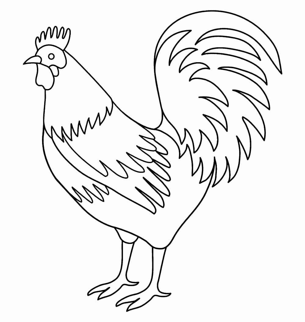 Hahn Ausmalbilder 532