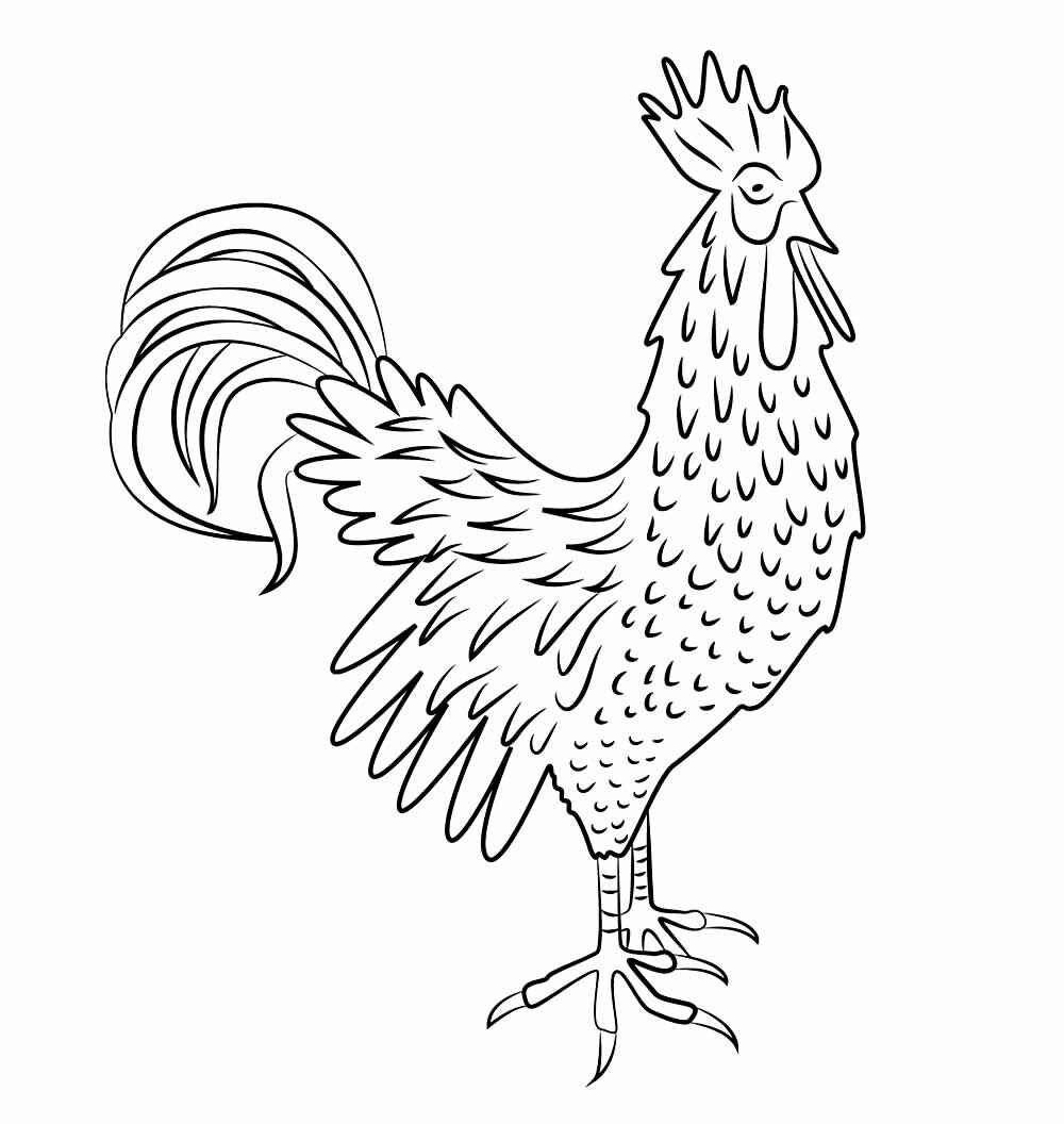 Hahn Ausmalbilder 929