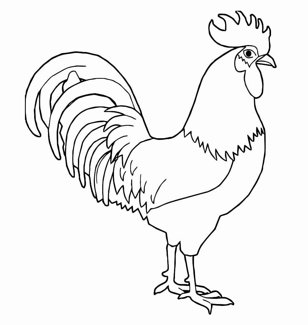 Hahn Ausmalbilder 989