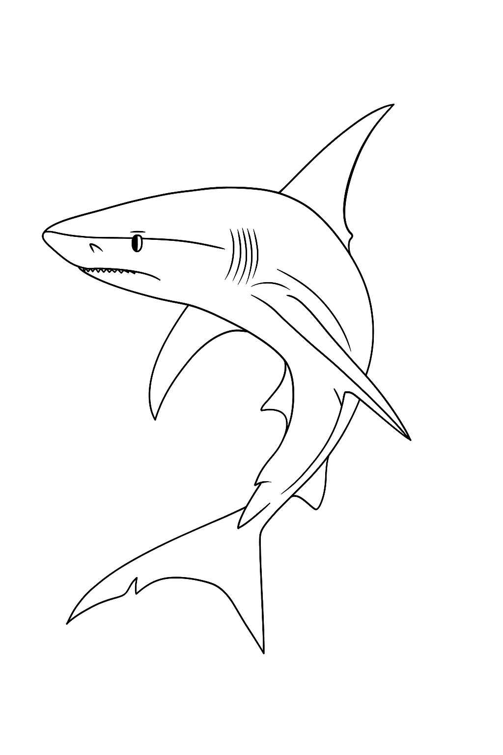 Hai Ausmalbilder 025