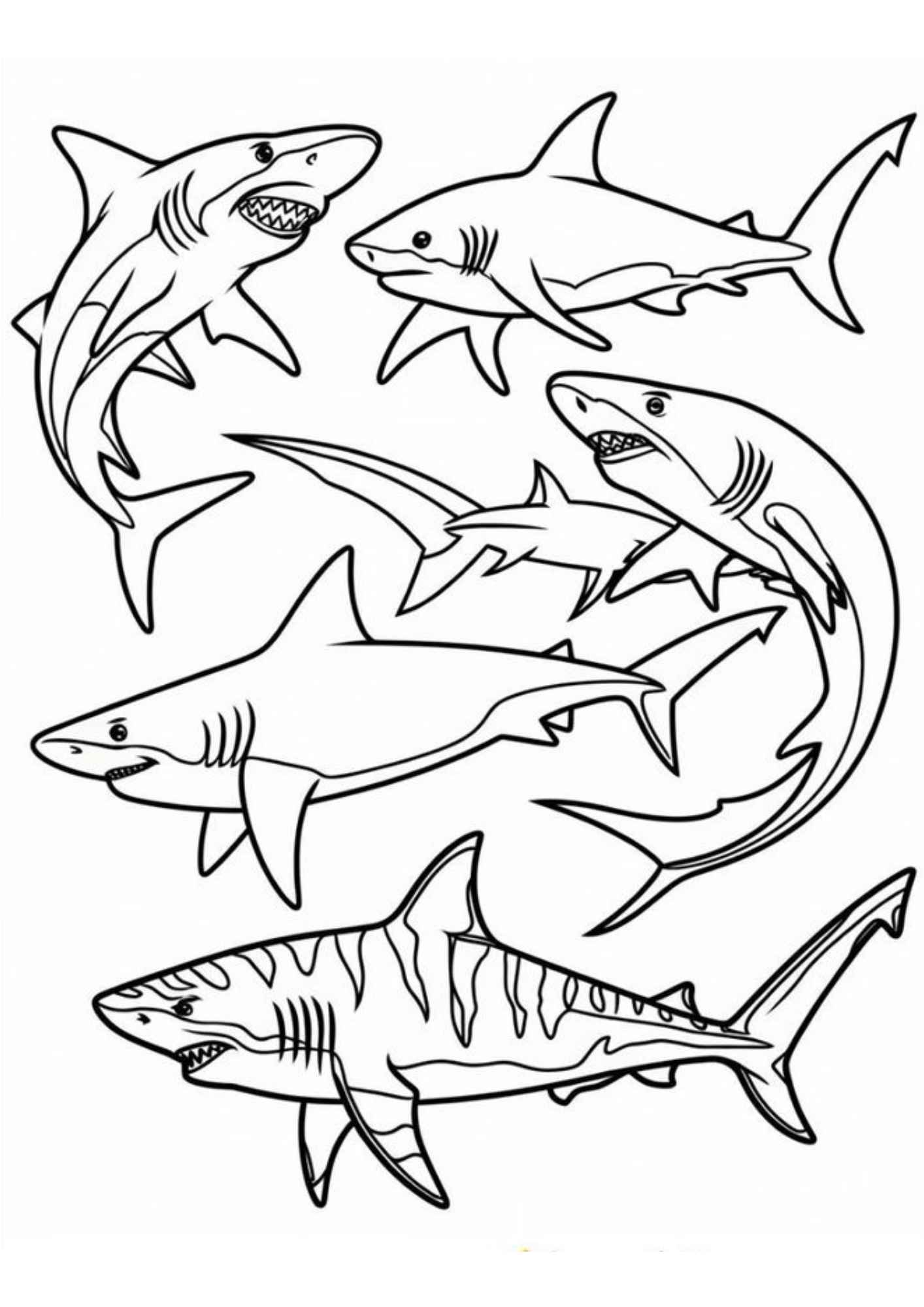 Hai Ausmalbilder 088