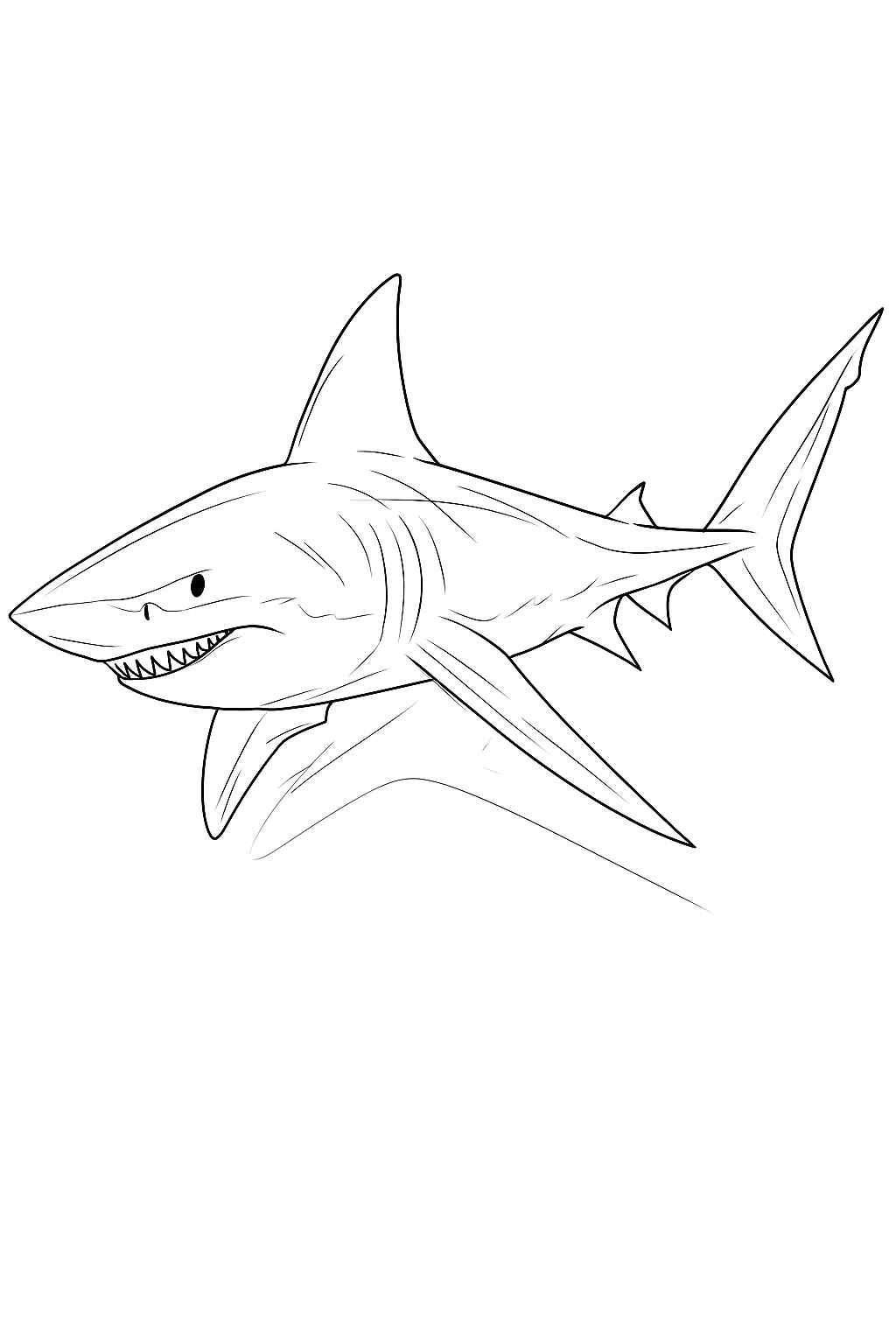 Hai Ausmalbilder 284