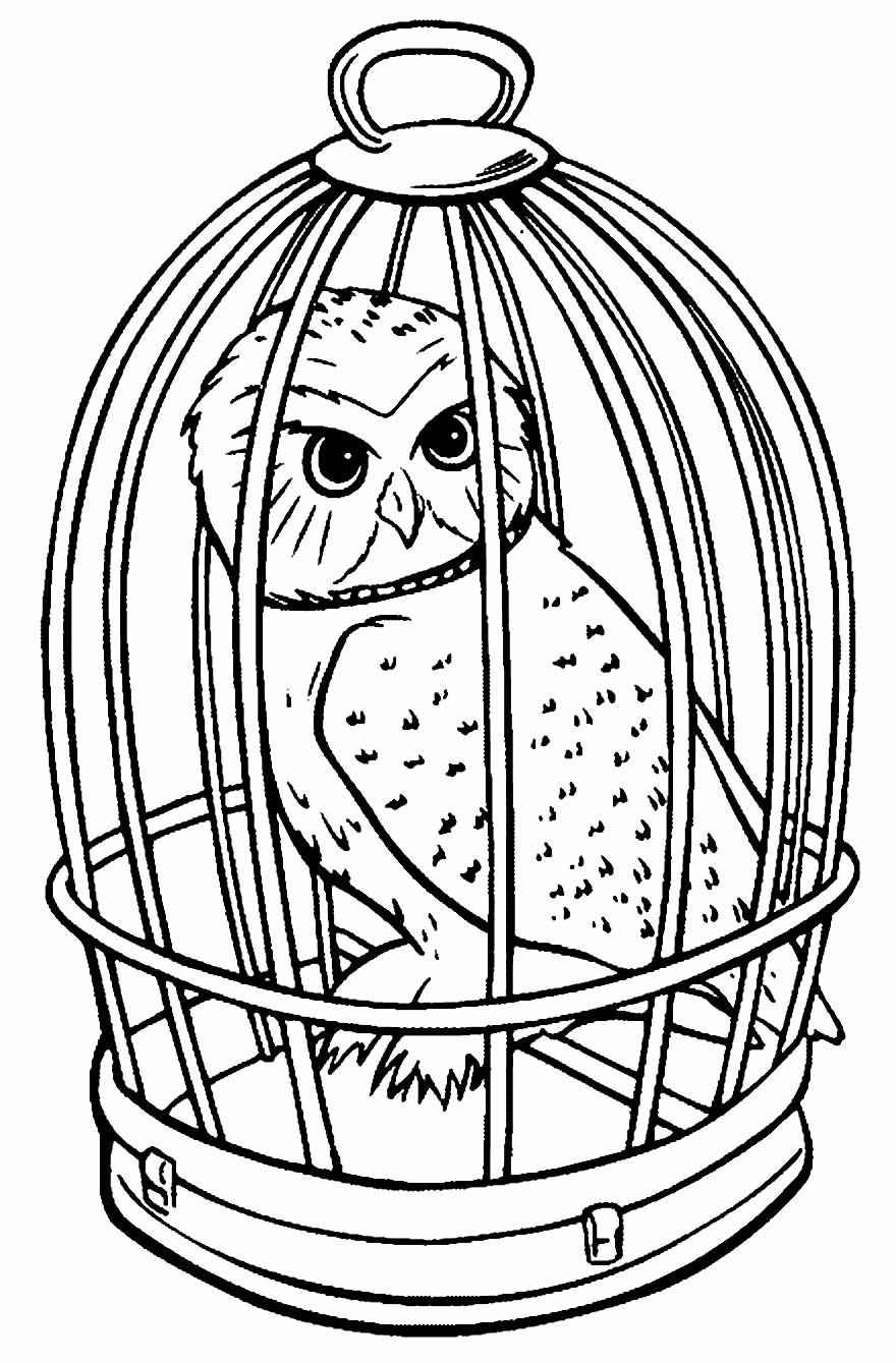 Harry Potter Ausmalbilder 320