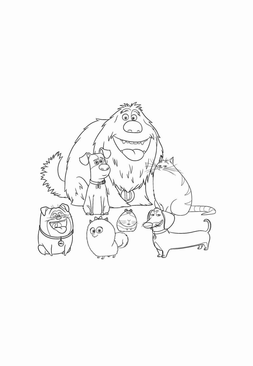 Haustiere Ausmalbilder 102