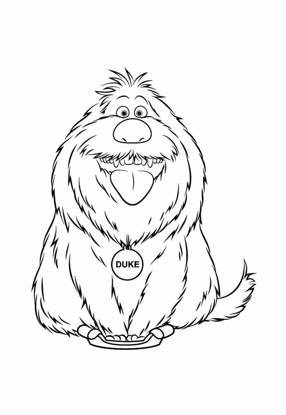 Haustiere Ausmalbilder 259