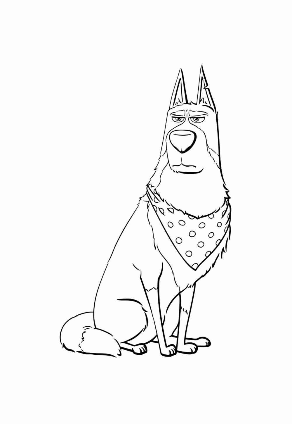 Haustiere Ausmalbilder 340