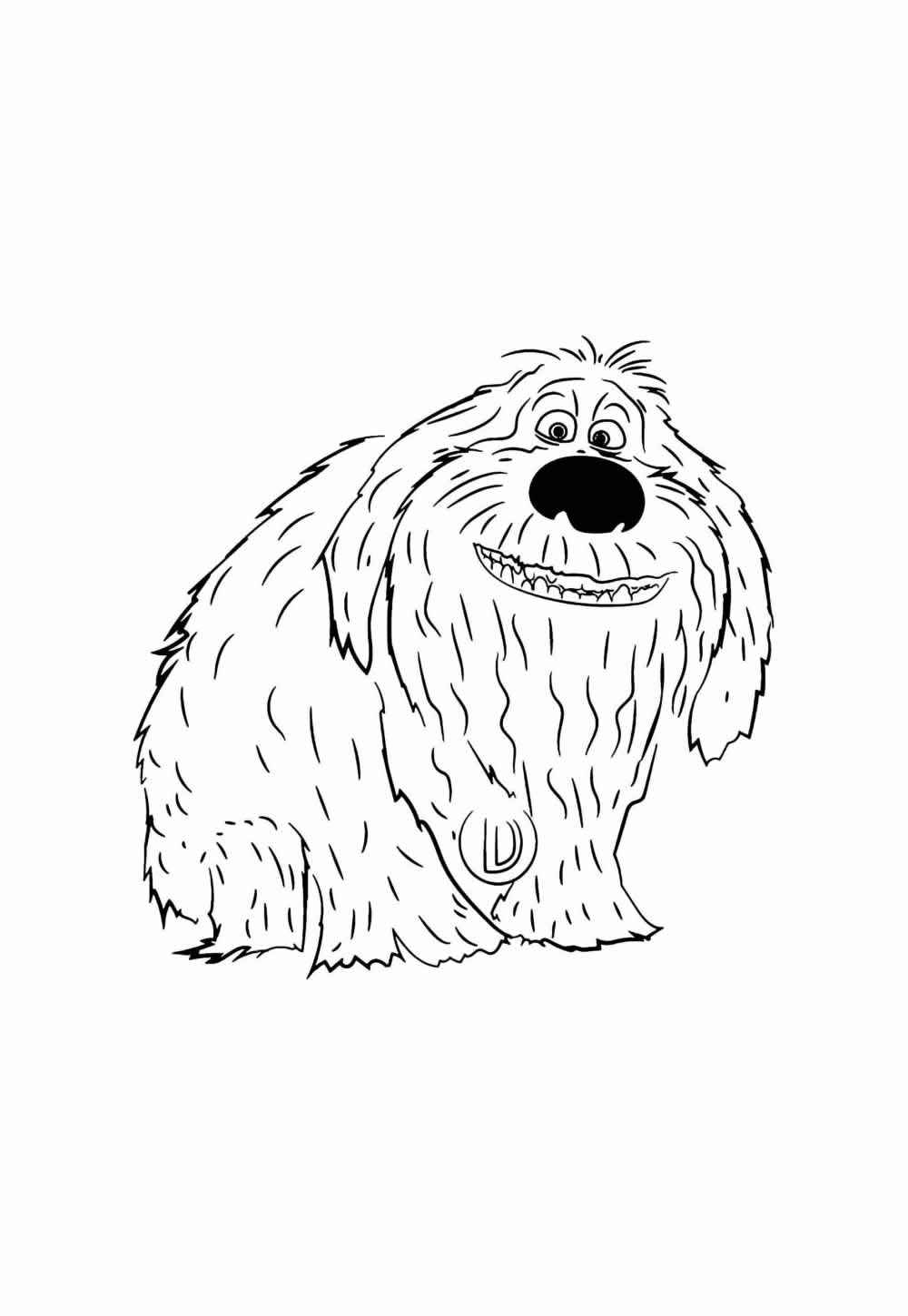 Haustiere Ausmalbilder 406