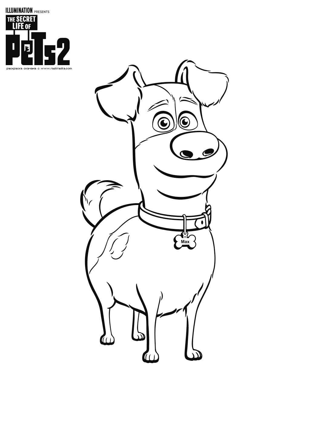 Haustiere Ausmalbilder 851