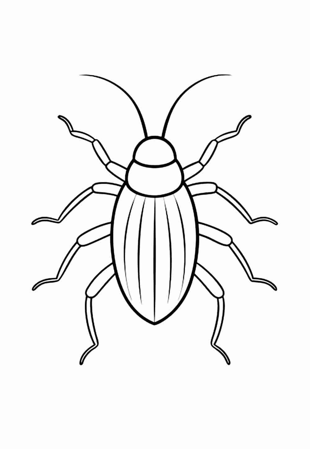 Kakerlake Ausmalbilder 070