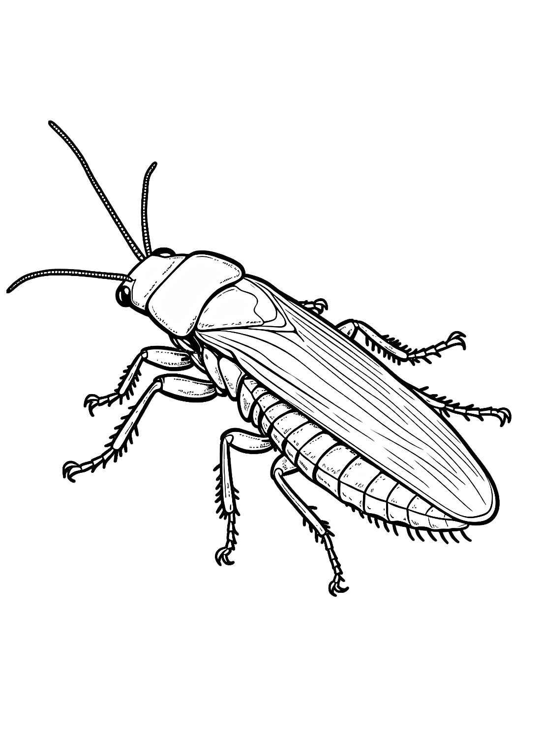 Kakerlake Ausmalbilder 243
