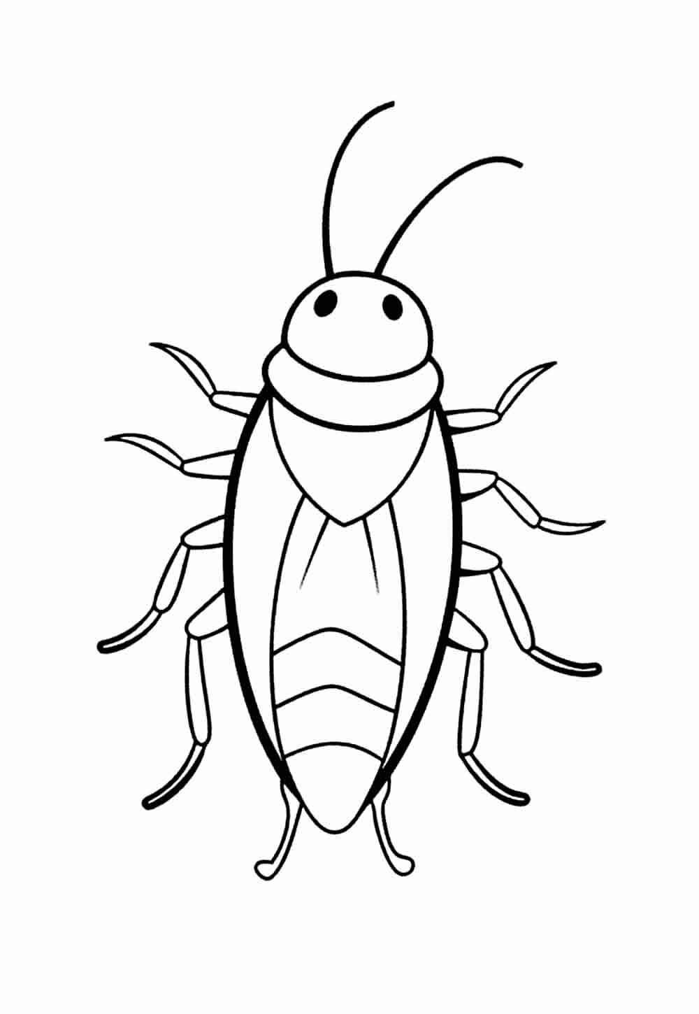 Kakerlake Ausmalbilder 251