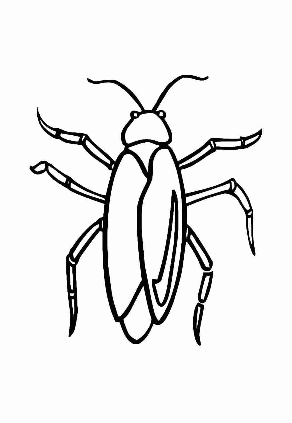 Kakerlake Ausmalbilder 710