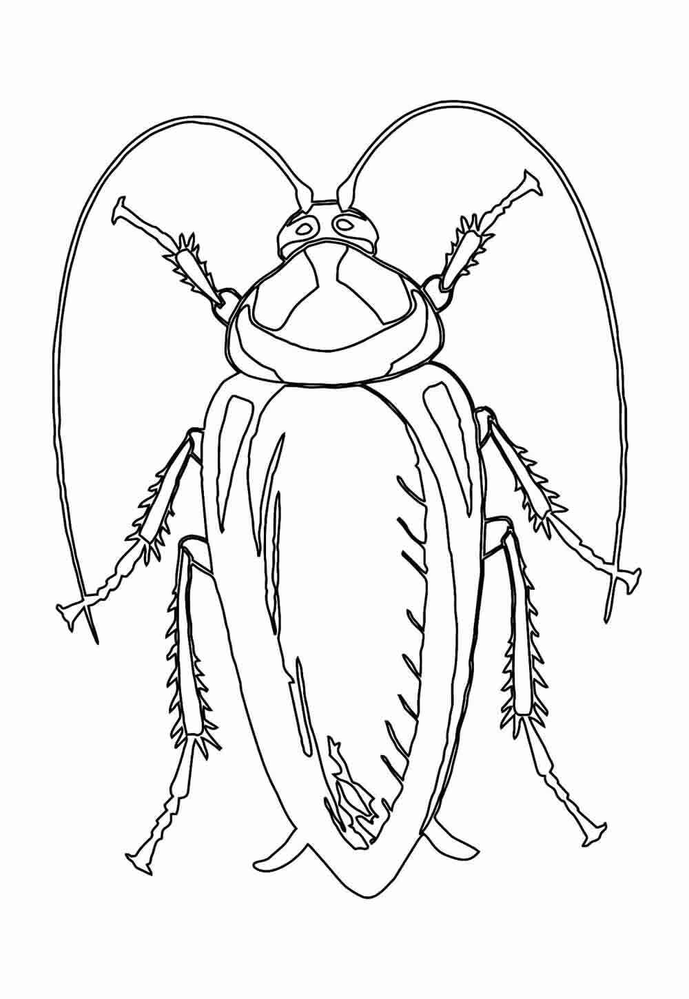 Kakerlake Ausmalbilder 786