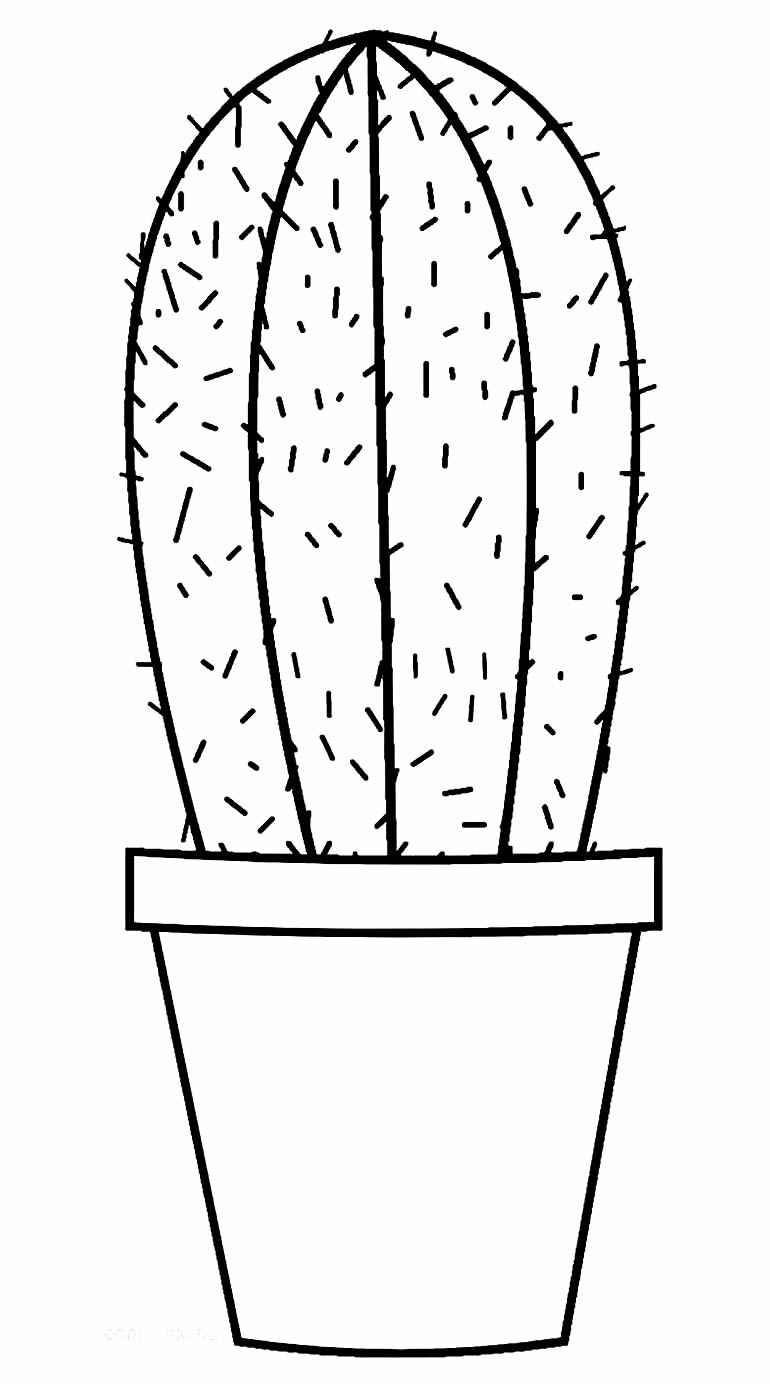 Kakteen Ausmalbilder 561