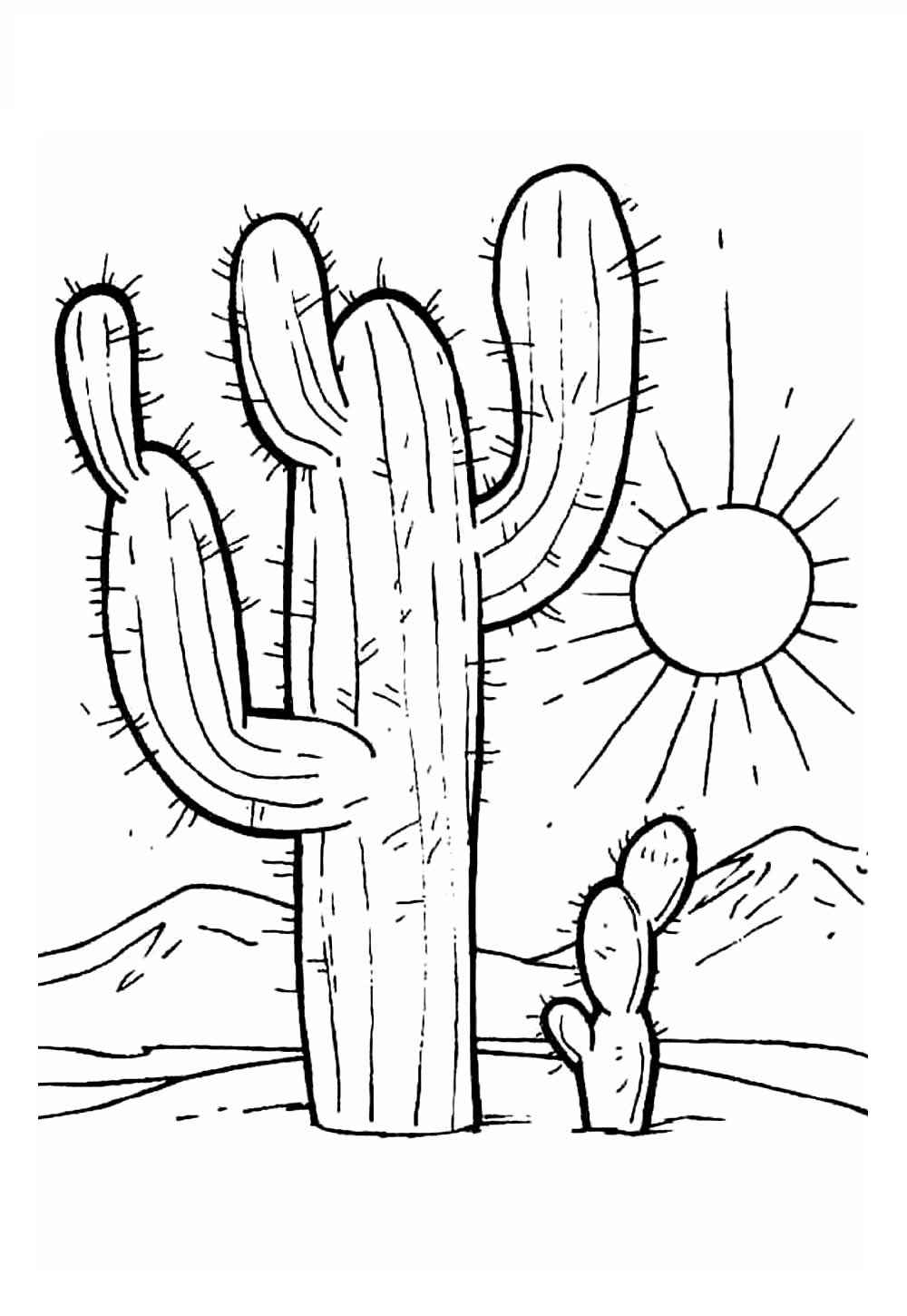 Kakteen Ausmalbilder 631
