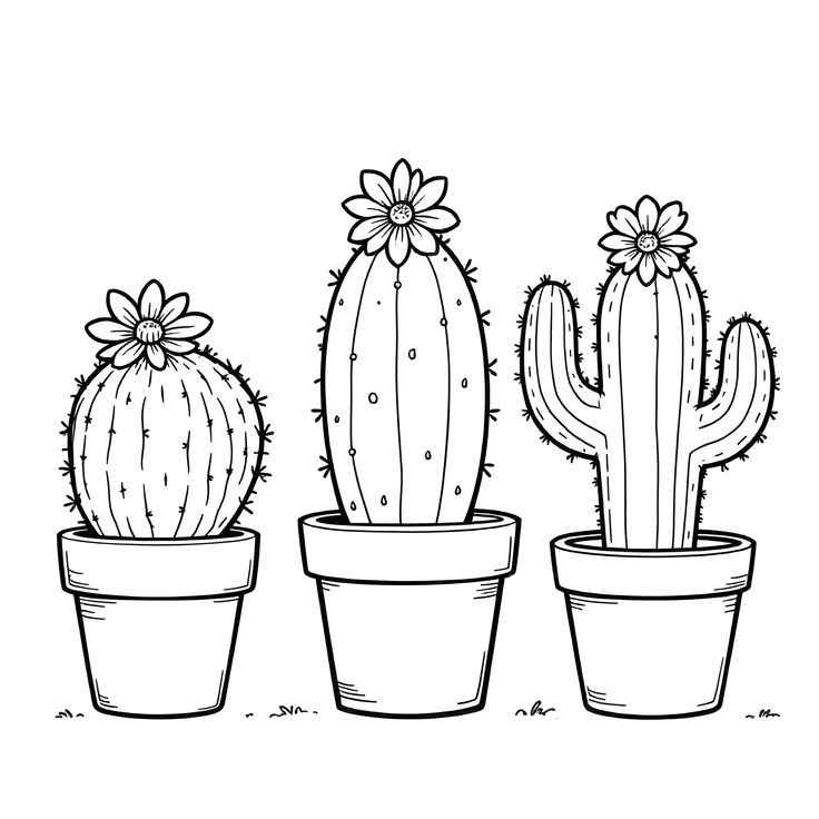 Kakteen Ausmalbilder 705