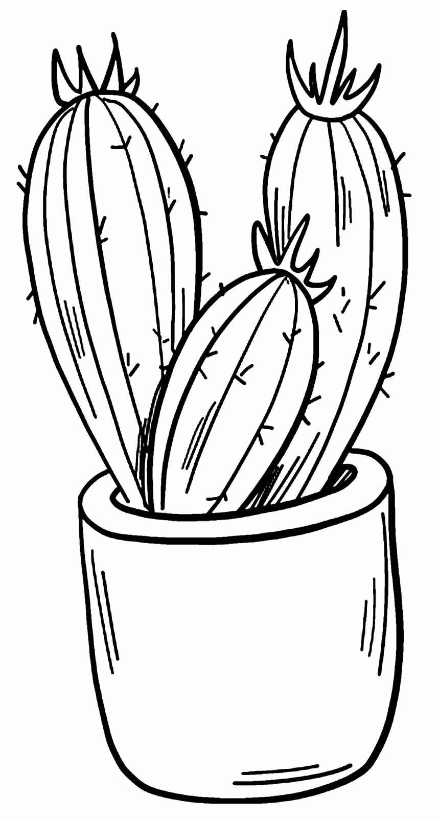 Kakteen Ausmalbilder 856