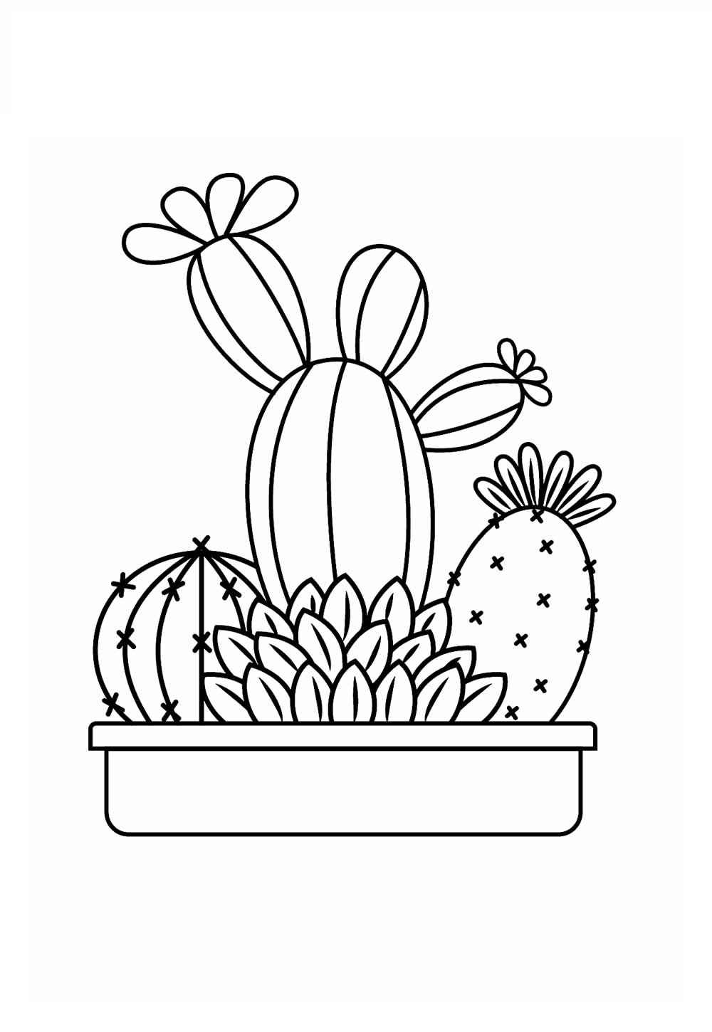 Kakteen Ausmalbilder 886