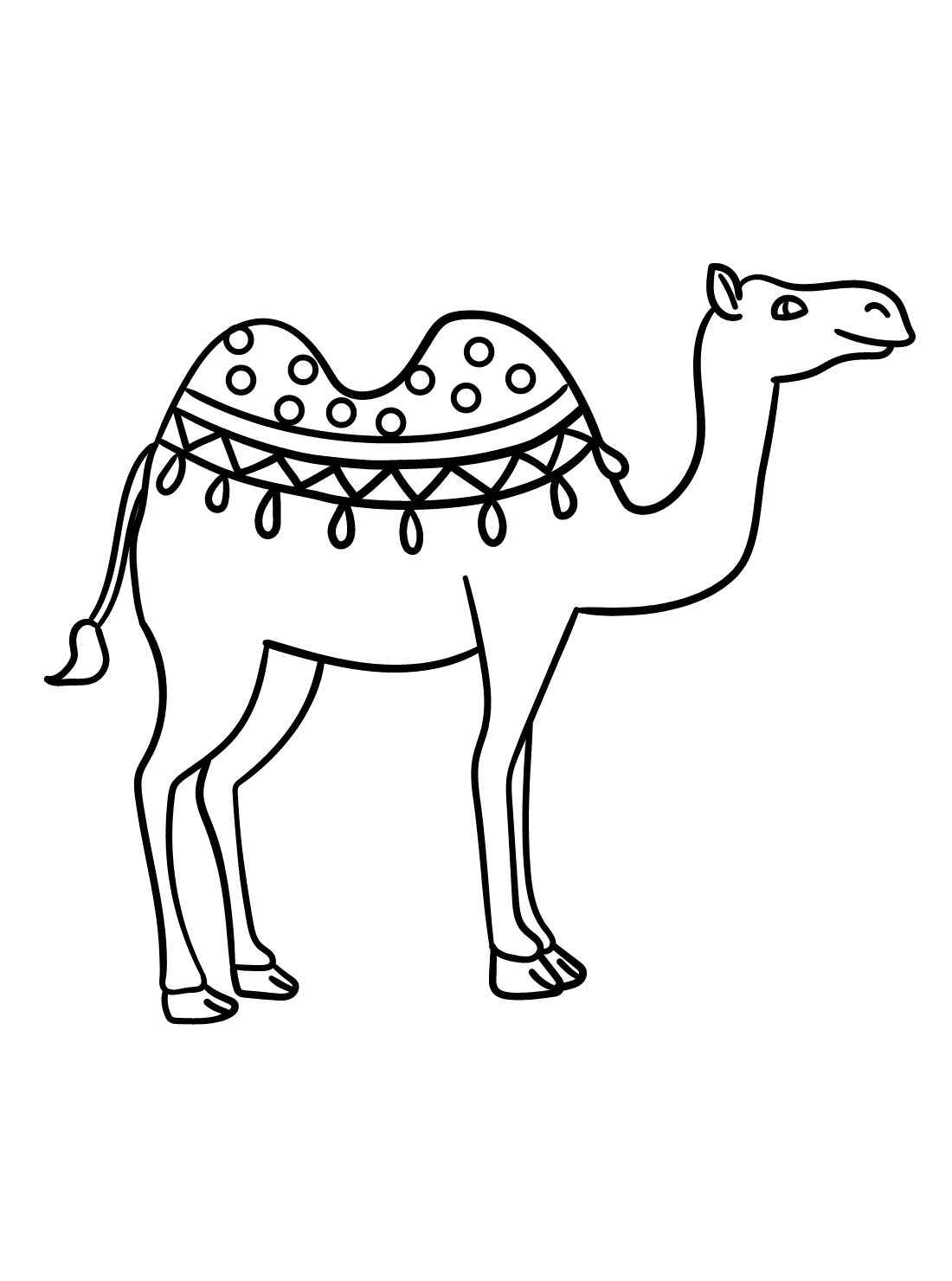 Kamel Ausmalbilder 437