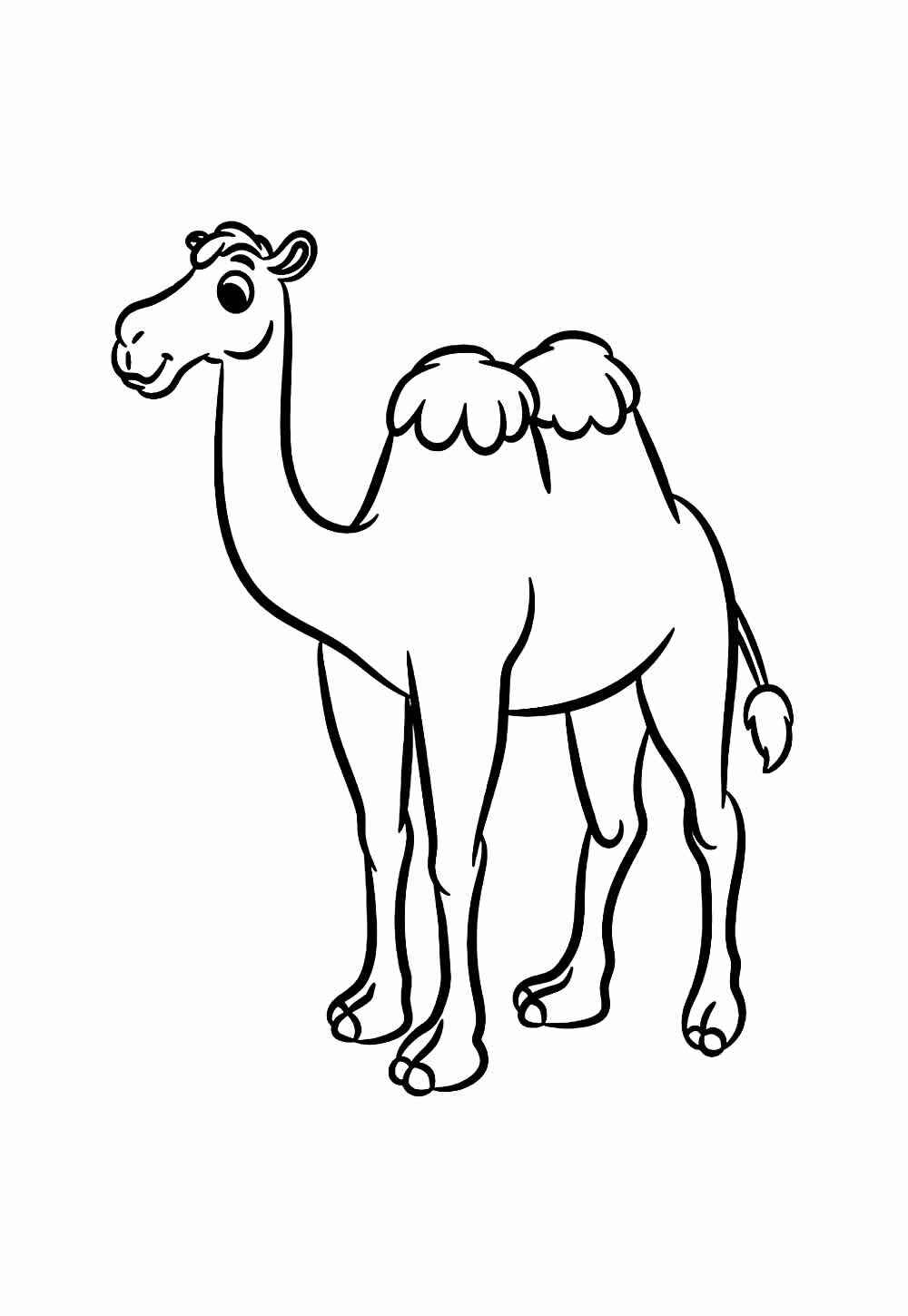 Kamel Ausmalbilder 894